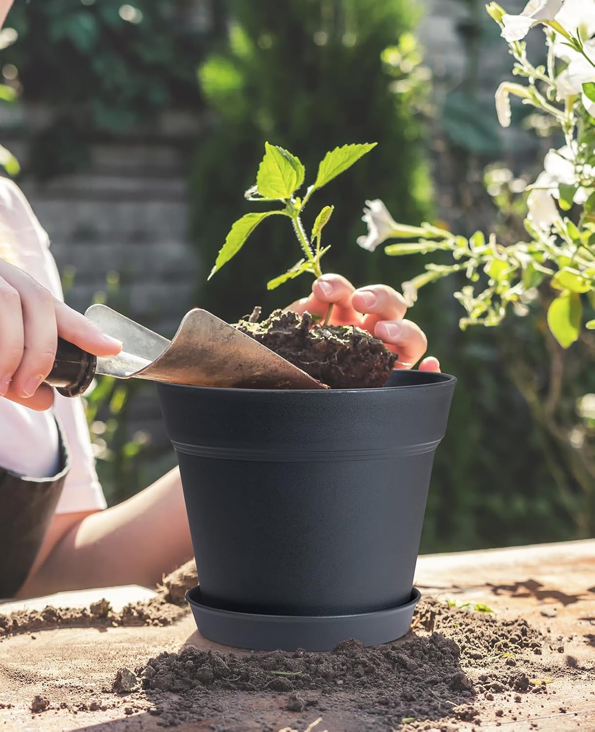 homenote Plant Pots,7.5 Inch Flower Pots for Plants Plastic Planters for Indoor with Multiple Drainage Holes and Trays, for All Home Garden Flowers Succulents,Outdoor(White&Black,8 Pack)