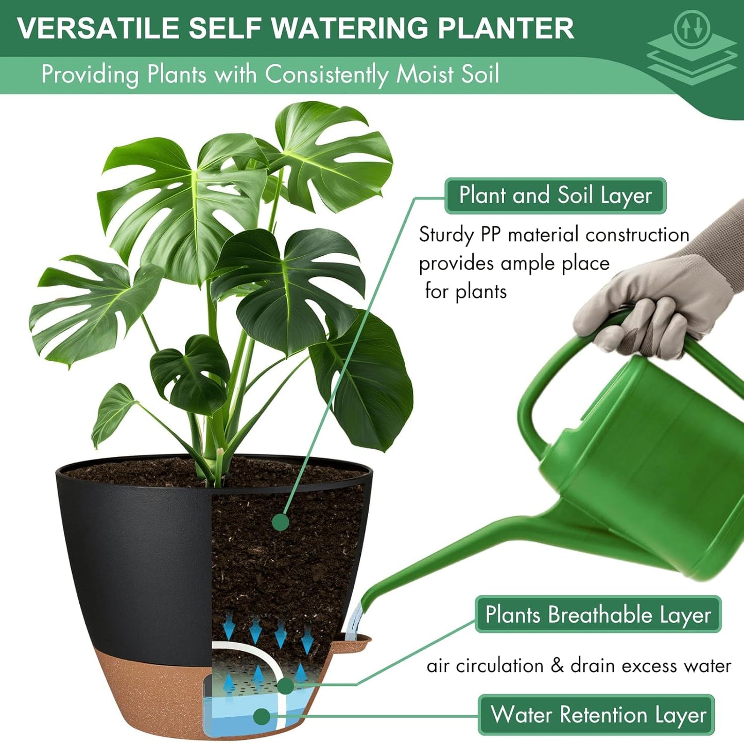 montresor 2 Pack 8 inch Plant Pots, PP Plastic Self Watering Plant Pot with Drainage and Tray for Indoor Outdoor Plants, Water Level Window & Reservoir Flower Pots Decorative Planter (Black)