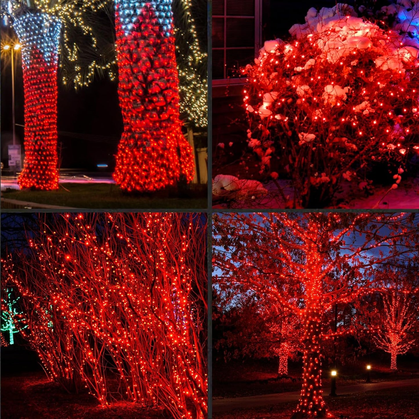 1200LED (24pk of 50L) String Lights, LED Christmas Lights, 6" SPACING,Green Wire, RED