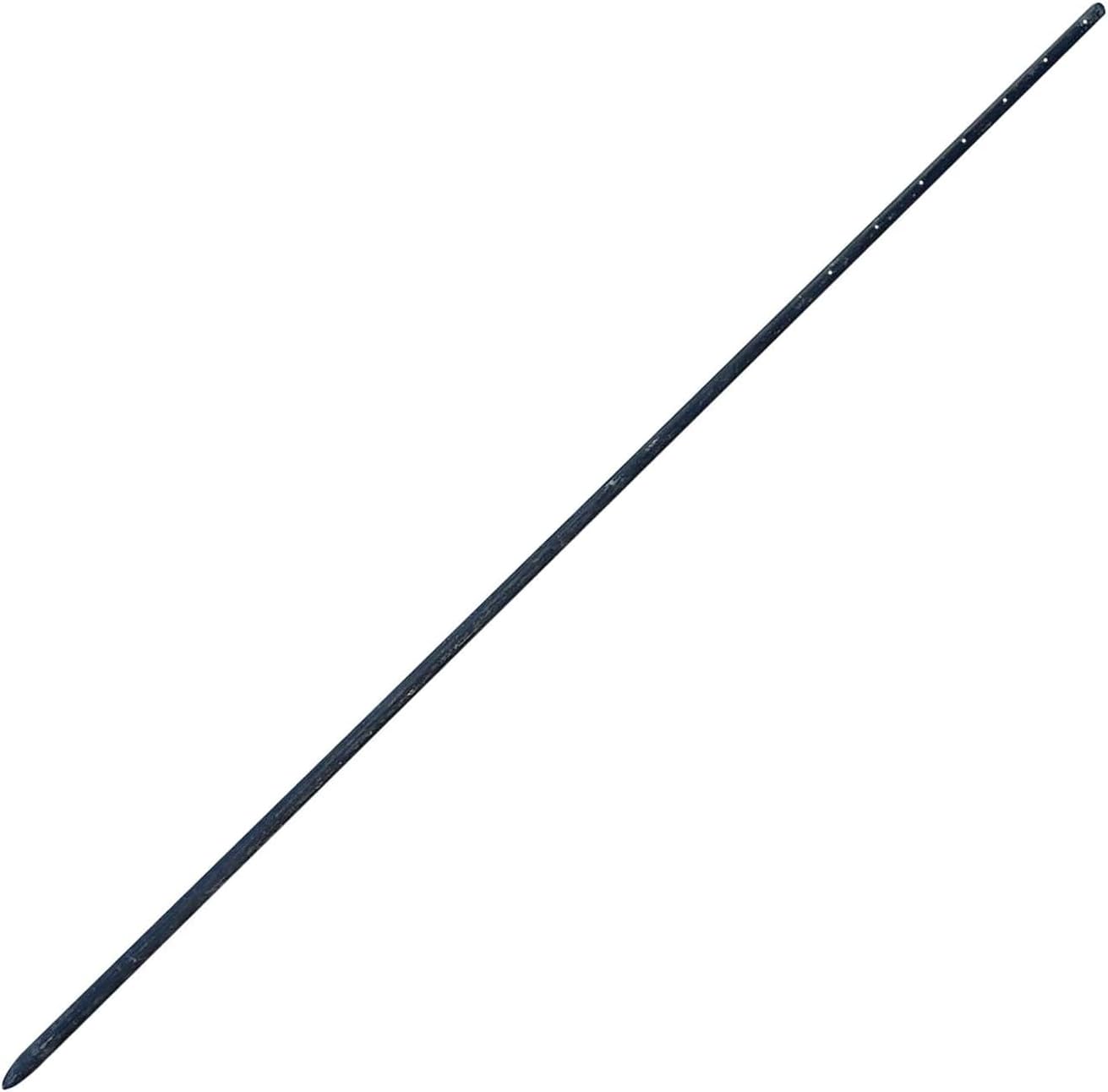 Sandbaggy Round Steel Concrete Form Stakes with Nail Holes - Rust Resistant Coating - Removable, Reusable (10, 3/4 in X 60 in)