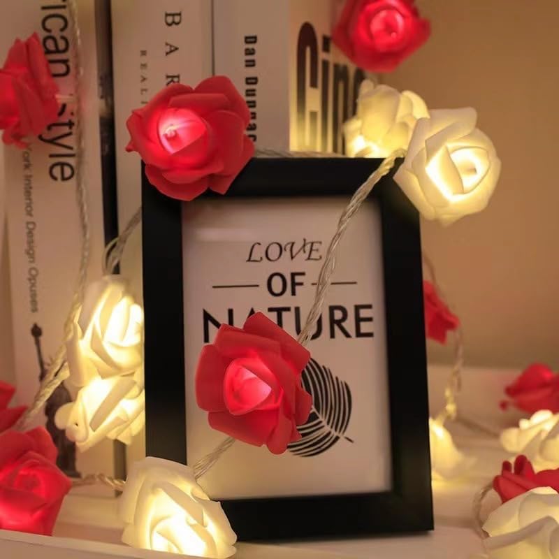 Everlasting Splashes LED Rose Flower Fairy String Lights Battery Operated Warm Flashing Light for Romantic Proposal Wedding Party Birthday Christmas Thanksgiving DIY Indoor Outdoor Decorations (Pink)