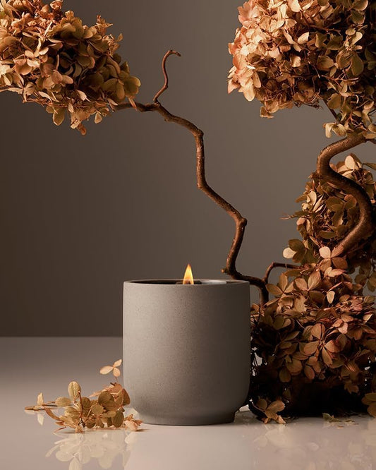 Homecourt Luxury Scented Candle, Cece Scent, 60-Hour Burn Time, Soy Wax Blend, Organic Cotton Wick, Kiln-Fired Reusable Ceramic Vessel, 8 Oz, 2.0