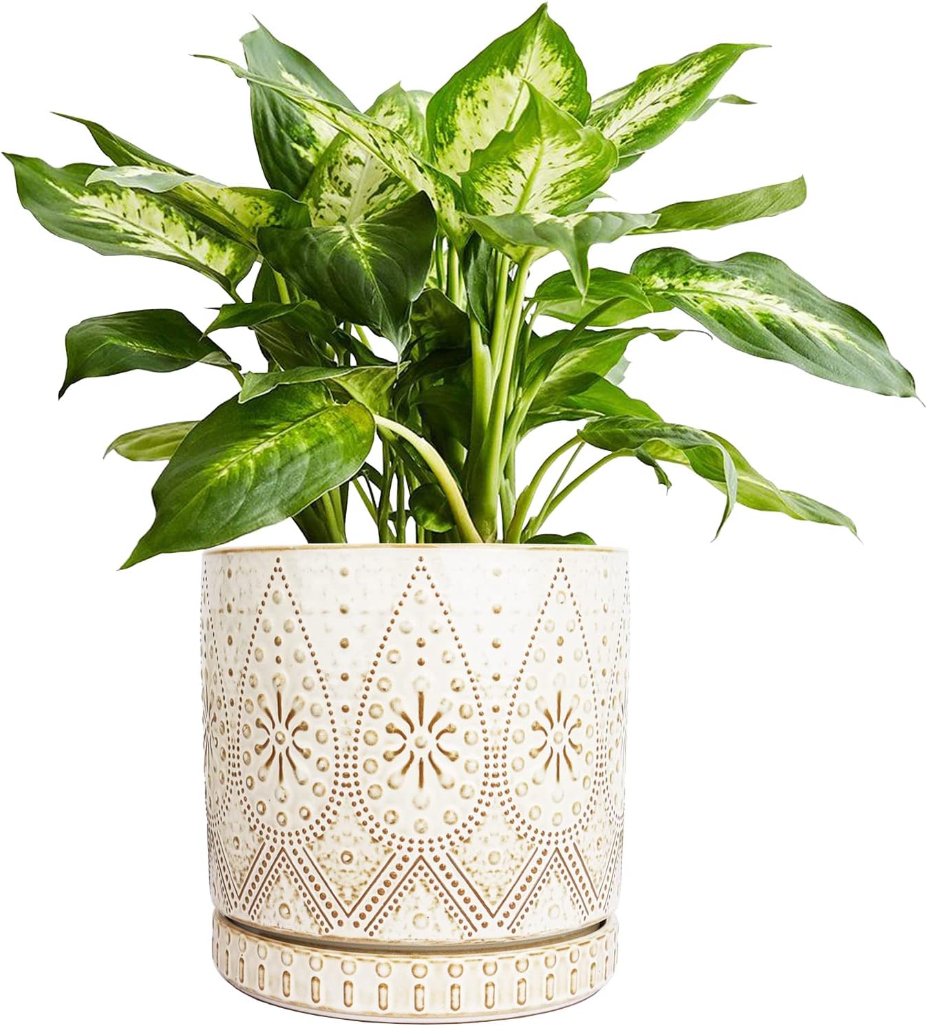 8 Inch Indoor Plant Pot with Drainage Holes and Saucers, Ceramic Planter for Plants, Succulent Orchid Flower Pots