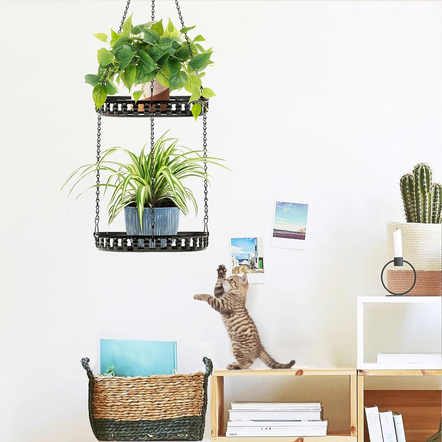 Plant Hanger Indoor Outdoor, 2 Tier Hanging Planter Plant Shelf, Metal Hanging Plants Holder for Indoor Outdoor Plants