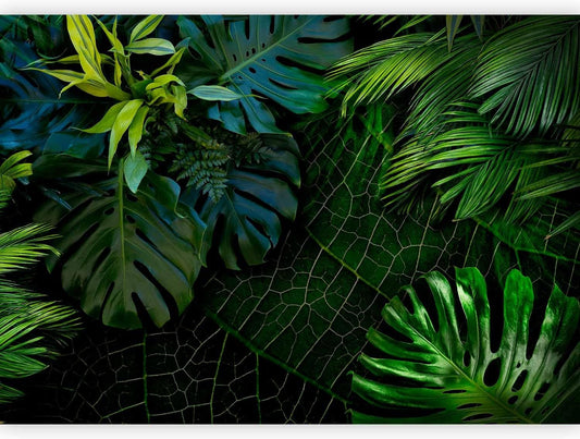 artgeist Wall Mural Tropical 157"x110" XXL Peel and Stick Self-Adhesive Wallpaper Removable Large Sticker Foil Wall Decor Print Picture Image Design