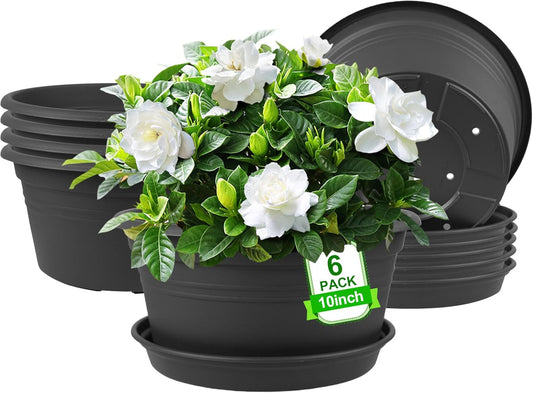 6 Pack 10 inch Plant Pot, Round Plastic Plant Pots, Outdoor Pots for Plants with Drainage Hole & Tray Saucer, Decoration Flower Pots for Indoor Plants Home Garden Outdoor Planters (Grey)