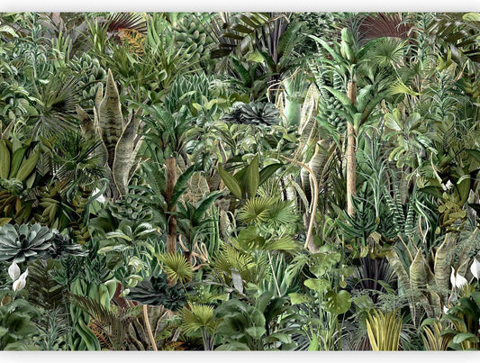 artgeist Premium Wall Mural Leaves 79x55 in - XXL Non-Woven Wallpaper Fleece Wall Decor Photo Print Picture Image Design Plants Abstract Nature Botanical b-C-0858-a-a
