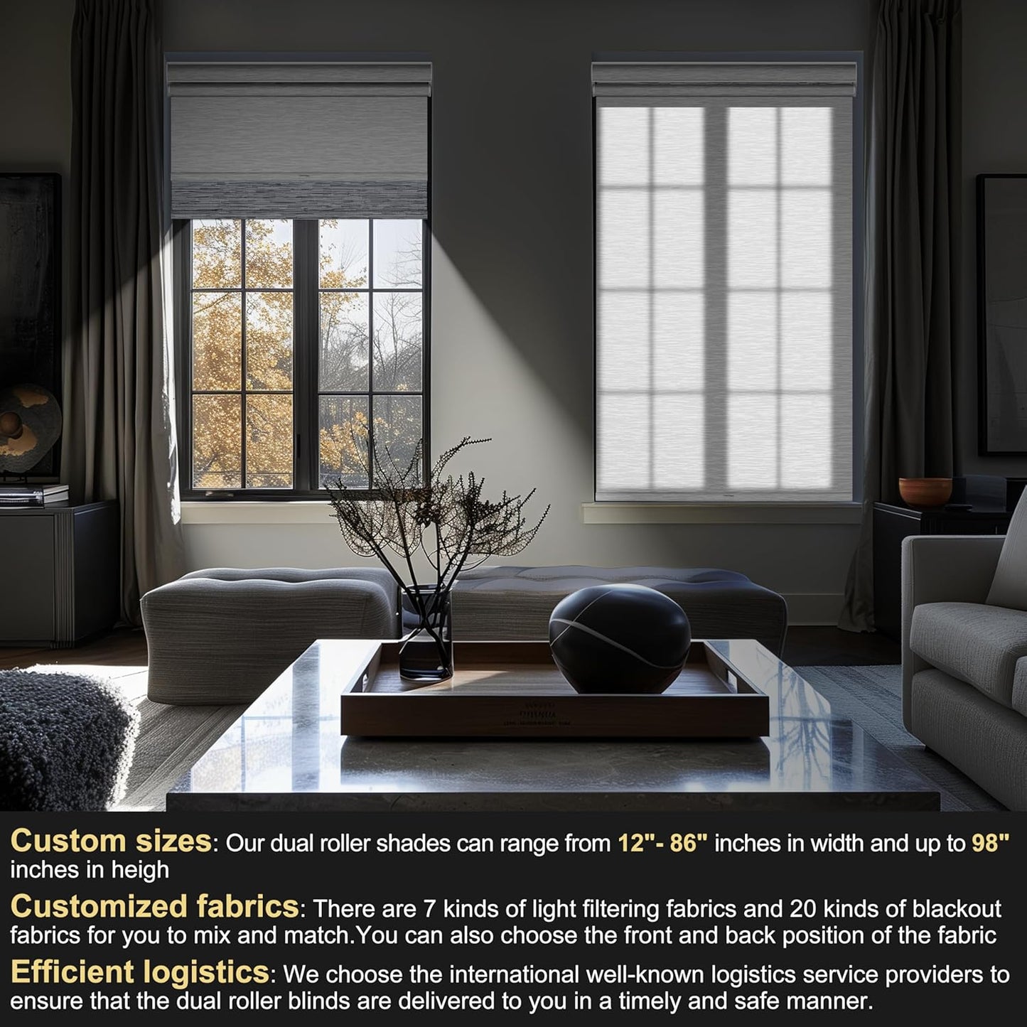 BERISSA Cordless Double Roller Shades with Cassette Valance, Blackout and Light Filtering, Day and Night Shades for Home Office. Maze Grey & White. Custom Sizes