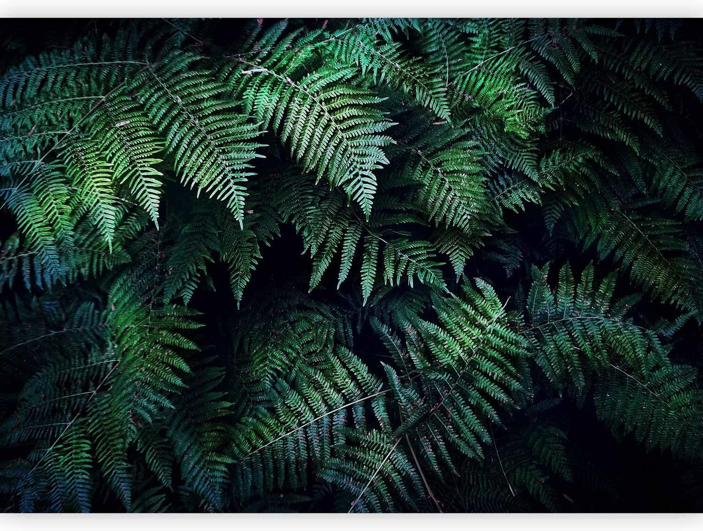 artgeist Wall Mural 3D Effect 79x55 in - XXL Non-Woven Wallpaper Fleece Wall Decor Photo Print Picture Image Design Home Tropical Leaves b-C-0564-a-a