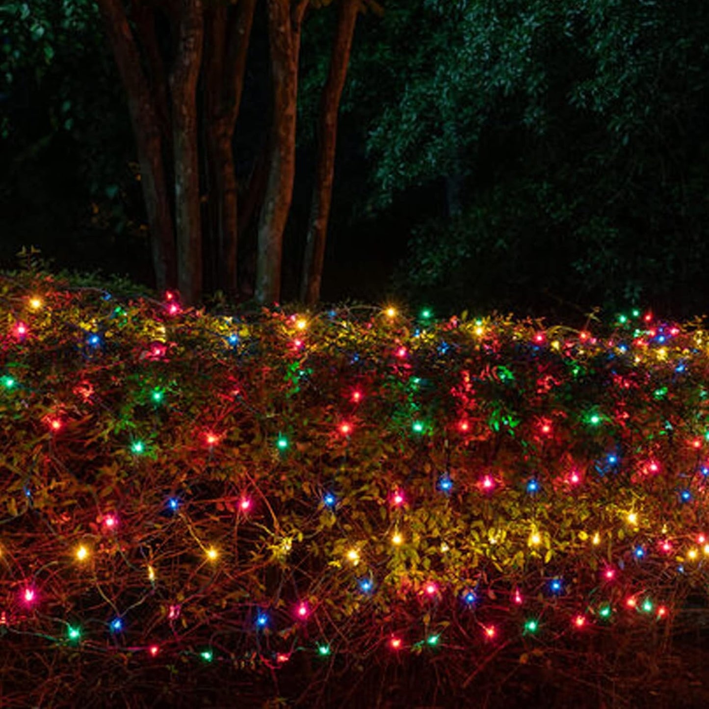 Dazzle Bright Battery Operated Christmas Lights, 2 Pack Total 32Feet 100LED Clear Mini String Lights Waterproof with 8 Modes for Xmas Indoor Outdoor Yard Holiday Wedding Decorations (Multi Color)
