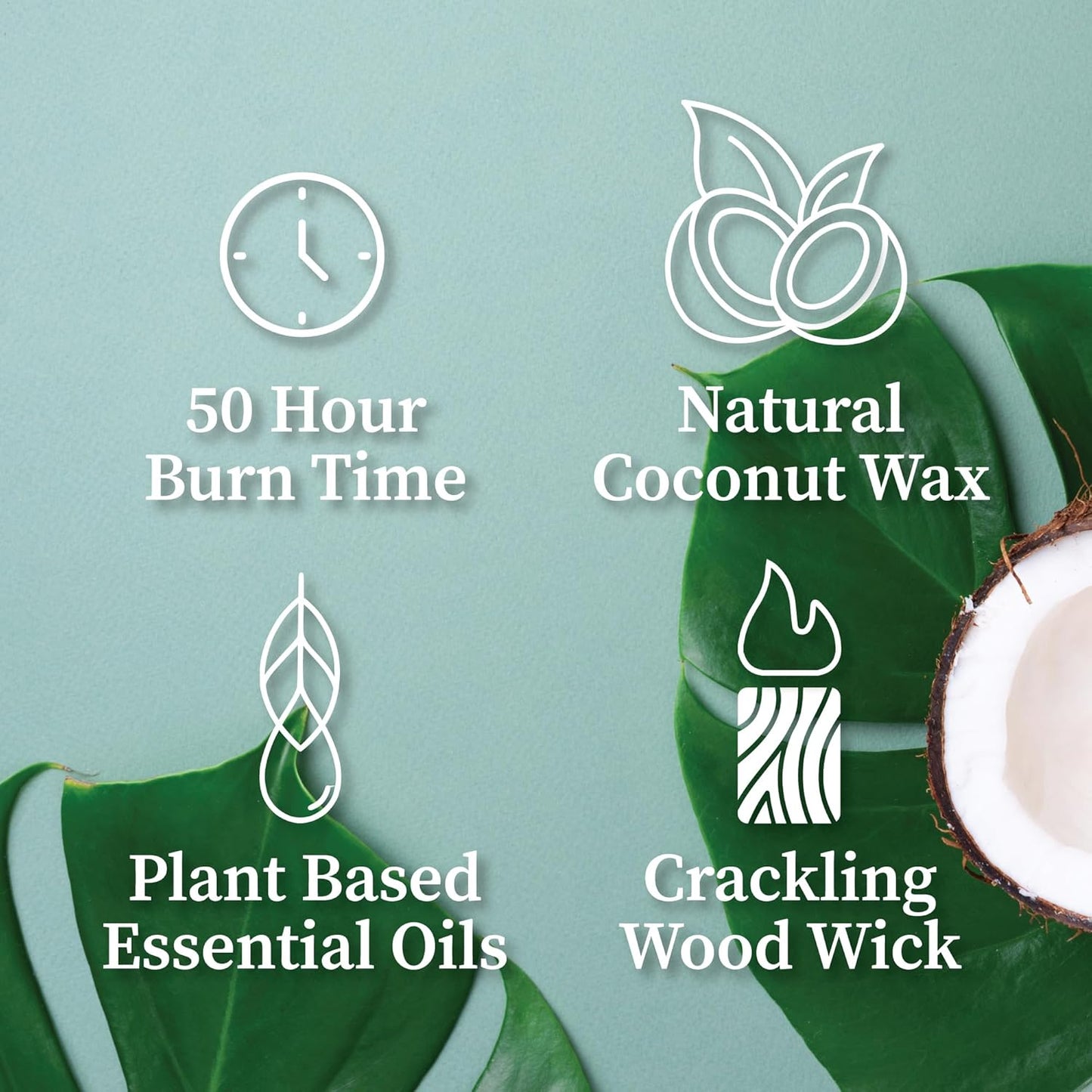 Hemlock Park Wood Wick Candle Handcrafted with Natural Coconut Wax and Essential Oils (Amber & Gold 7.2 oz, Blood Orange Sage)