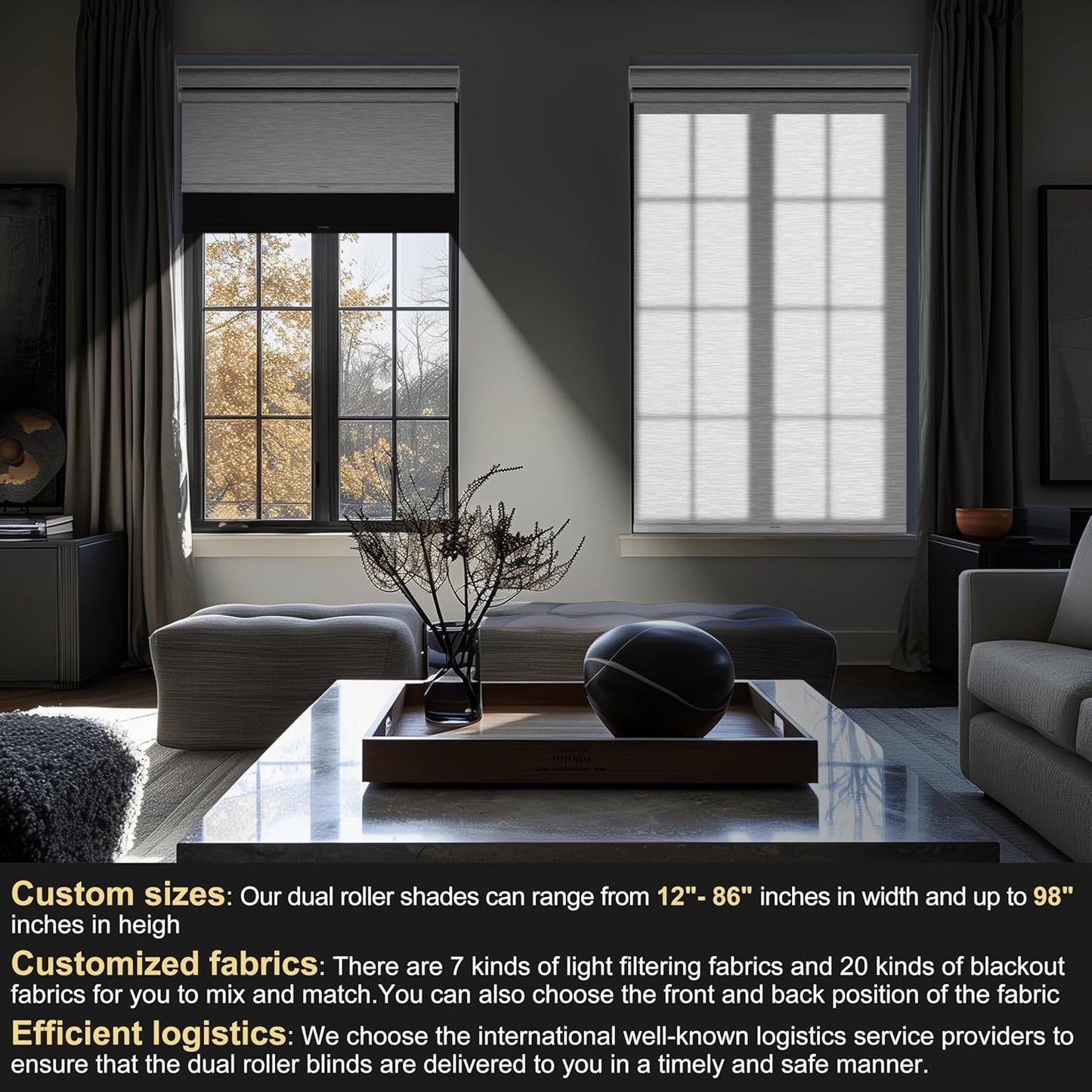 BERISSA Cordless Dual Roller Shades with Cassette Valance,Double Window Shades Blackout and Light Filtering Shades,Day and Night Roller Shades for Home Office Door.Linen Black and White.47 W x 72" H