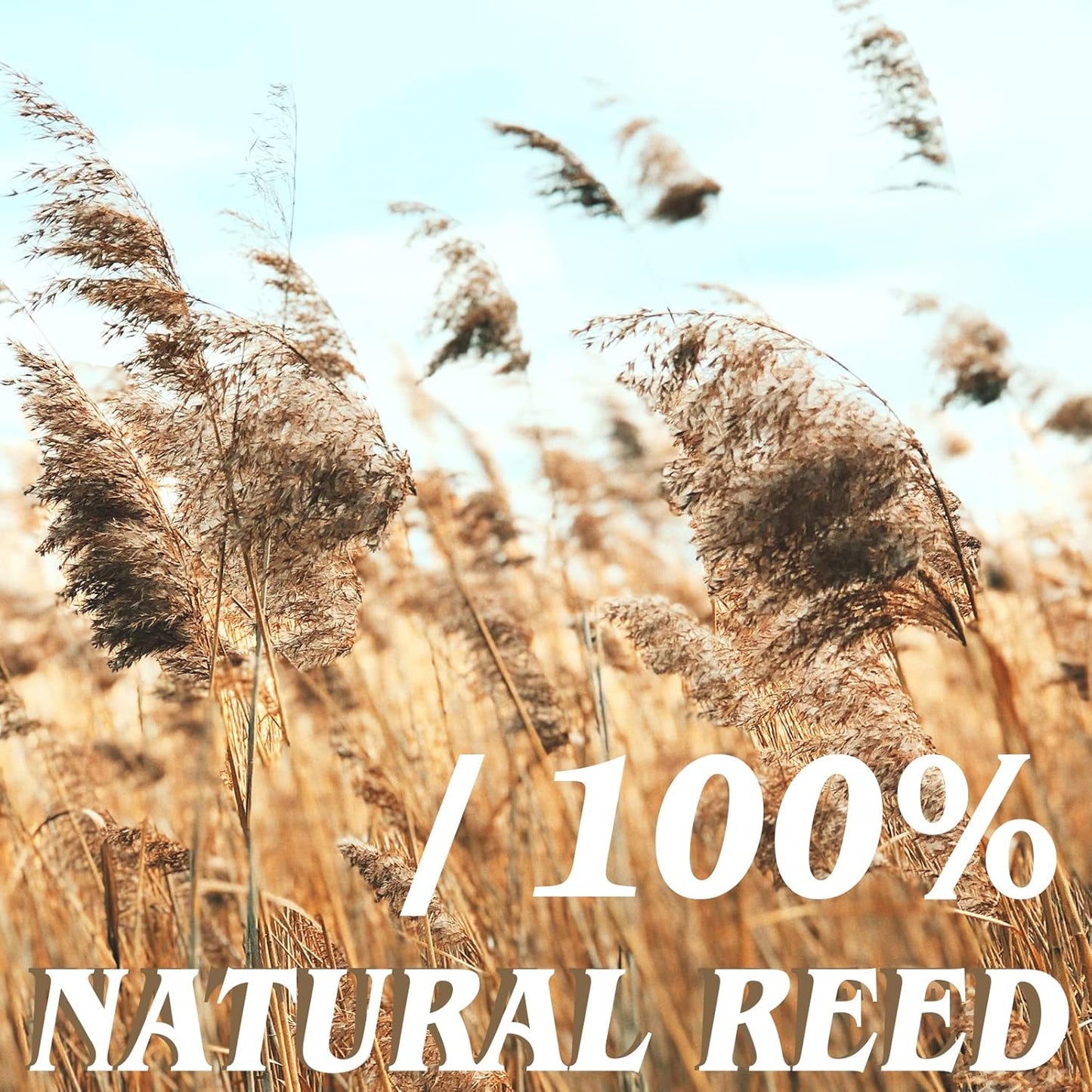 Natural Reed Fencing Rolls,5.5FT X 16.4FT Reed Screen Curtain Fence Covering Privacy Bamboo for Outdoor Backyard Patio（Yellow）