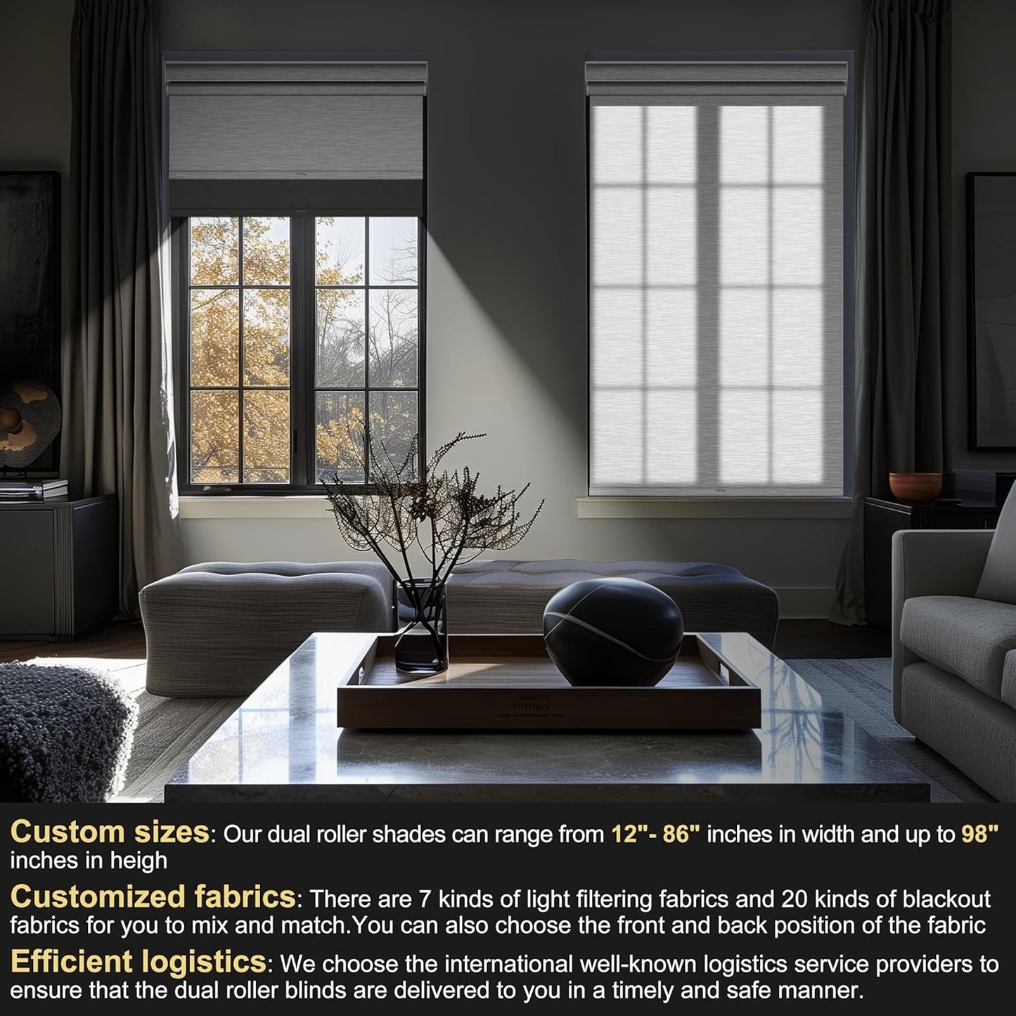 BERISSA Cordless Dual Roller Shades with Cassette Valance,Double Window Shades Blackout and Light Filtering Shades,Day and Night Roller Shades for Home Office Door.Grey and White.64 W x 64" H